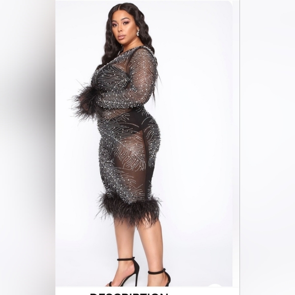 Fashion Nova Plus Size Feather Trim Beaded Sheer Mesh Dress - Picture 6 of 15